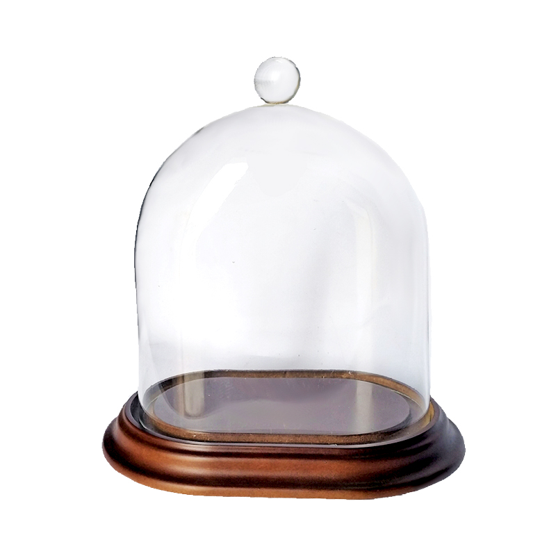 Campane di vetro ovali con base e pomolo